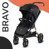 Coche Bravo Negro