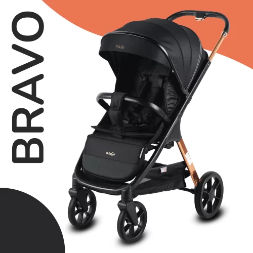 Coche Bravo Negro