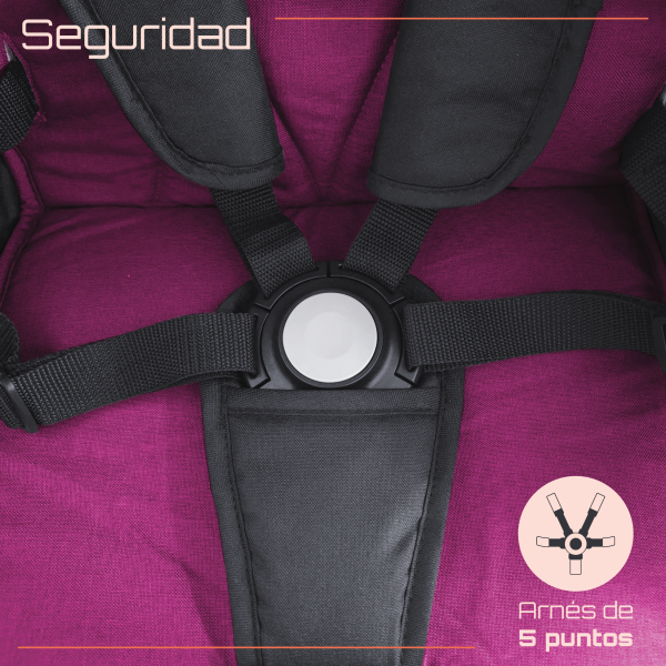 ALFA_WEB_MAGENTA_6_SEGURIDAD Alfa Magenta