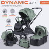 Dynamic Dream Green