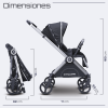 Dynamic Cruiser Black